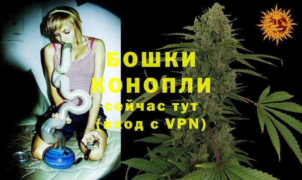 дмт Белокуриха
