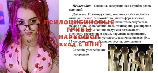 дмт Белокуриха