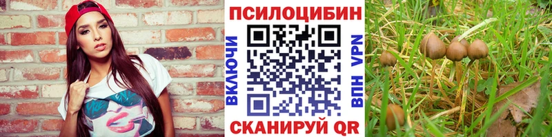 Псилоцибиновые грибы прущие грибы Гудермес