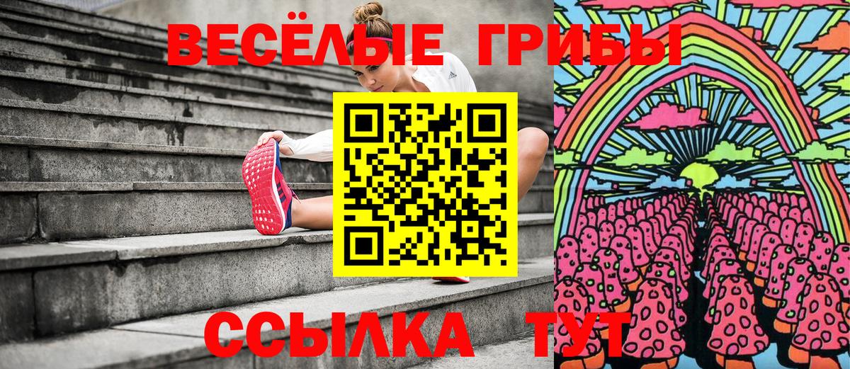 Псилоцибиновые грибы мицелий  Вход с VPN  Гудермес  Псилоцибиновые грибы Psilocybe 