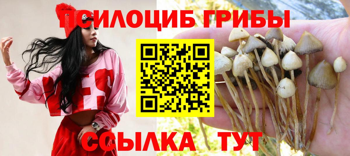 Галлюциногенные грибы прущие грибы Гудермес