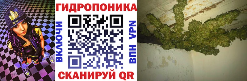 площадка какой сайт  продажа наркотиков  Гудермес  Марихуана THC 21% 
